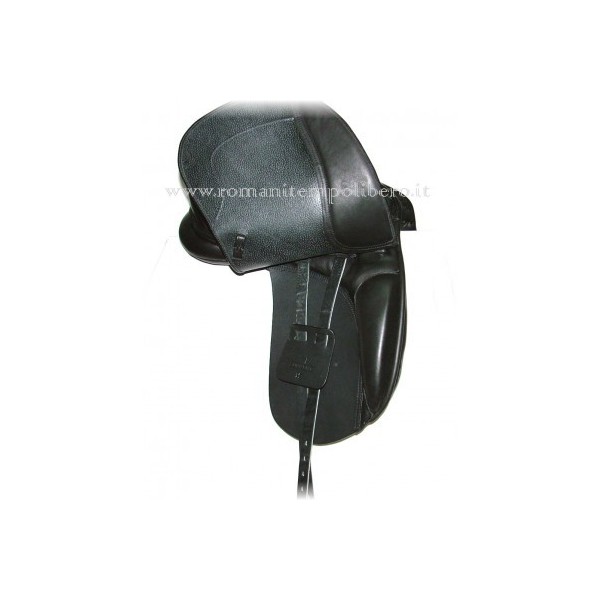 Supreme Dressage
