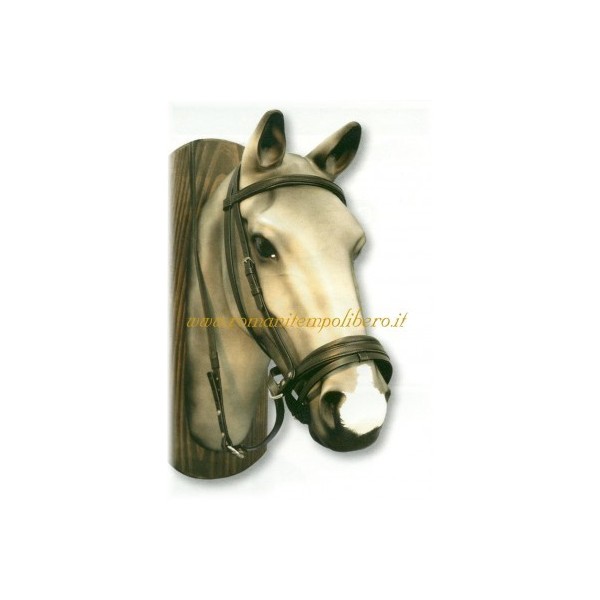 Briglia cuoio da Horse-Ball