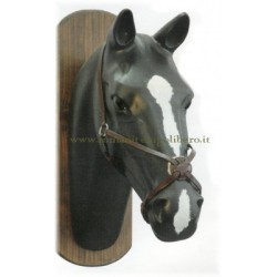 Capezzina messicana Equestro