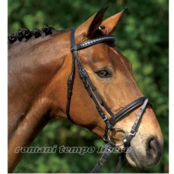 Briglia con cuoricini e strass
