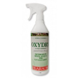 OXYDRY detergente a secco...