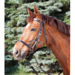 Bitless Bridle two -...