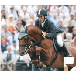 Polar Equine Easy